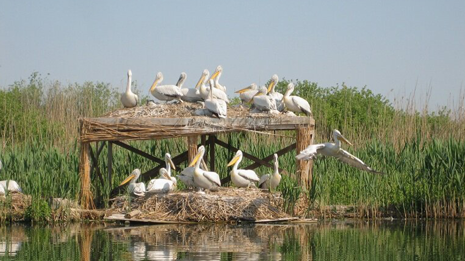Srebarna Nature Reserve